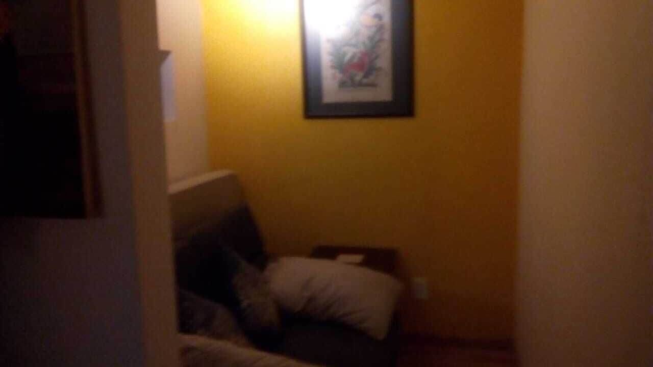 Photo of Others in Zapopan