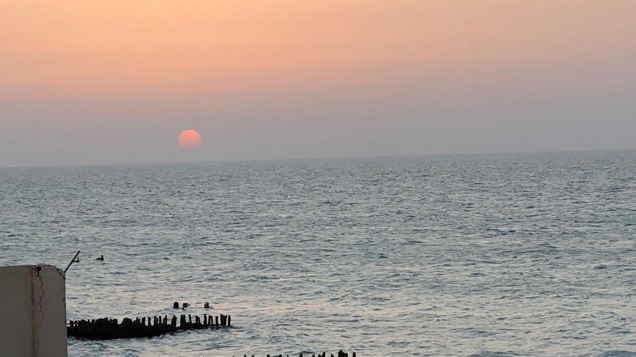 Photo of Others in Chelem