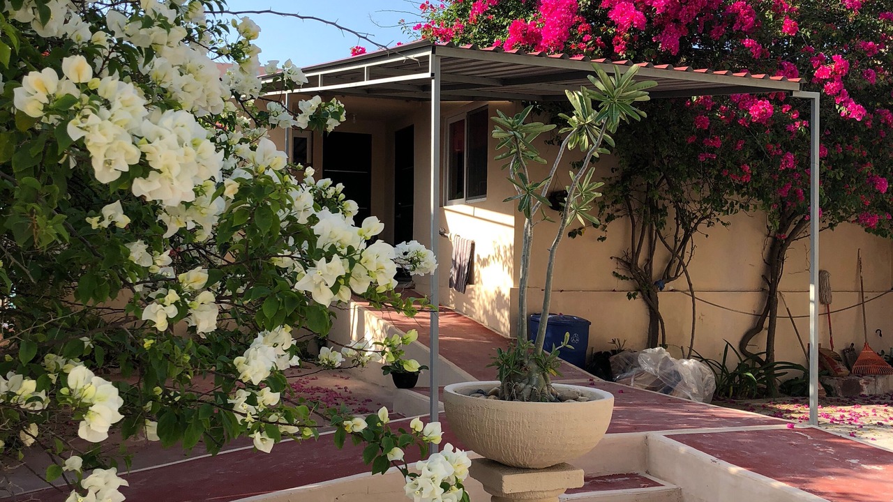 Photo of Outdoor in Chelem