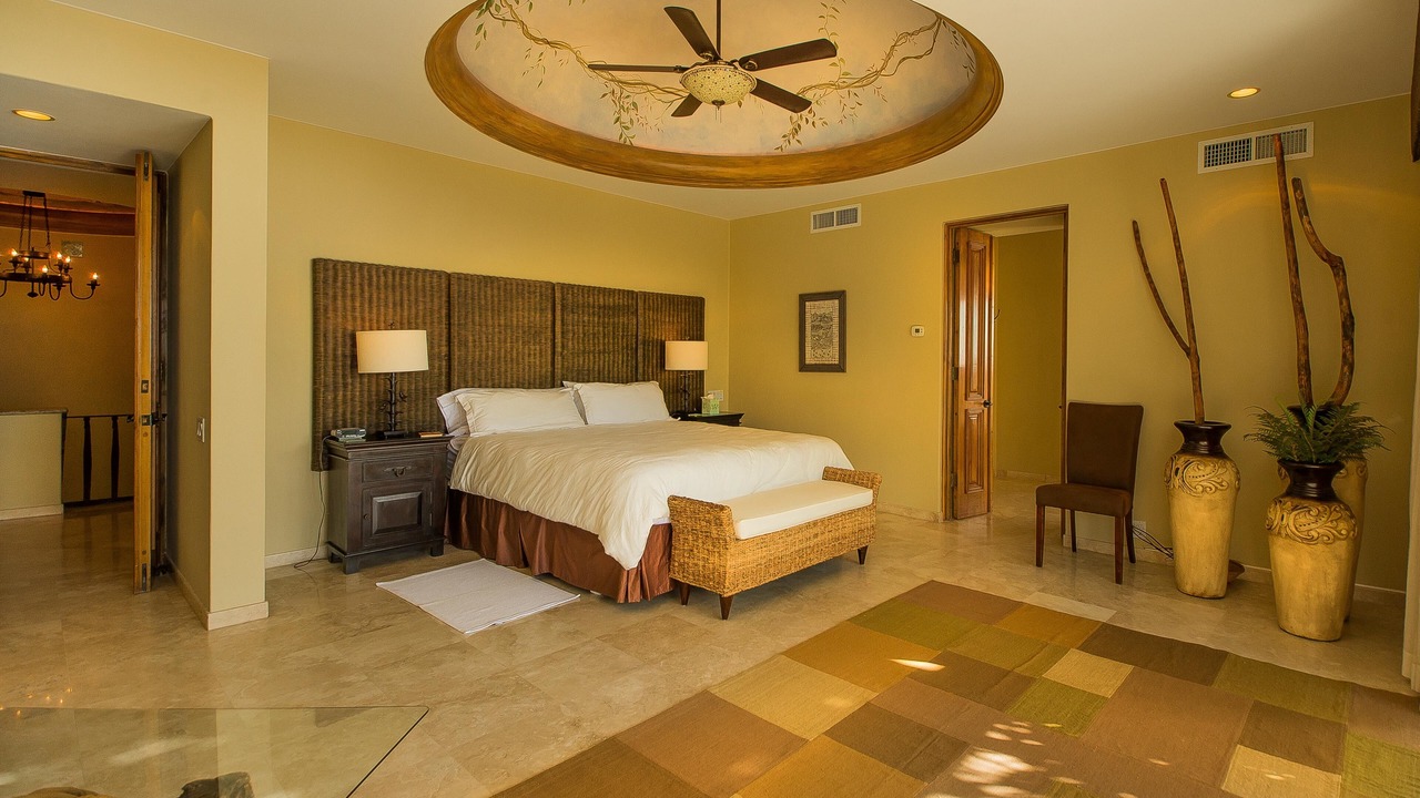 Photo of Others in Pedregal