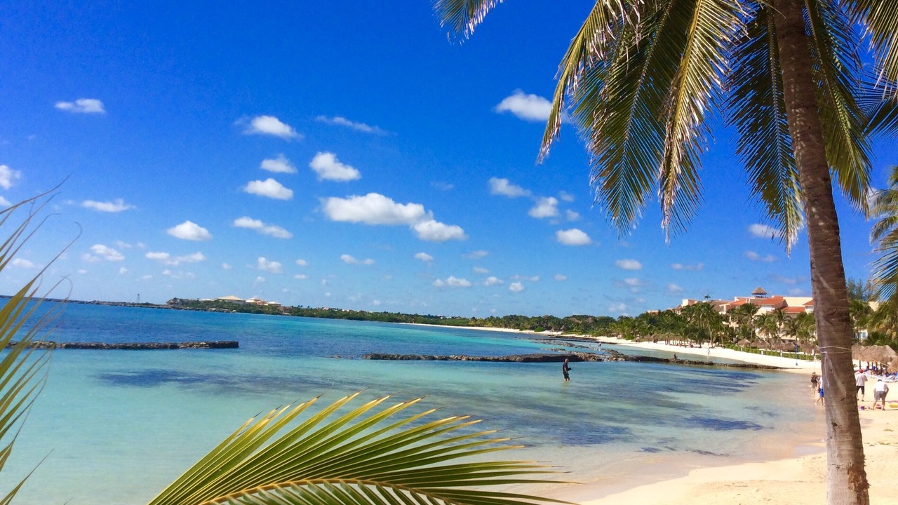 Photo of Others in Puerto Aventuras