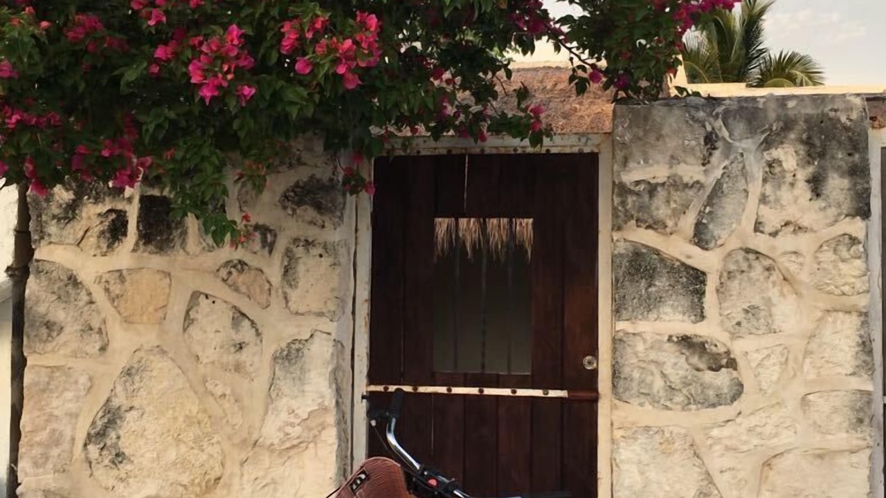 Photo of Outdoor in Majahual