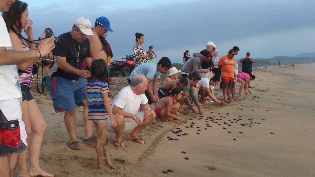 Photo of Others in El Tuito