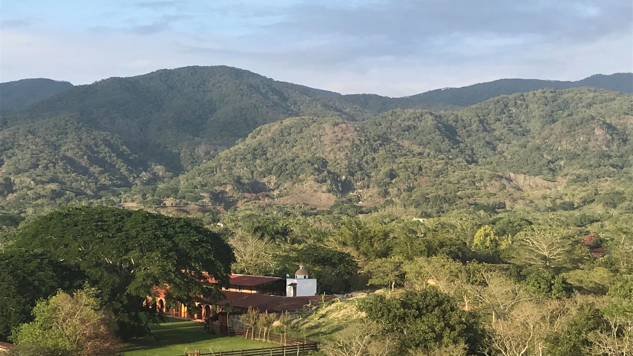 Photo of Others in El Tuito