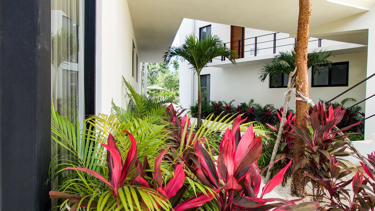 Photo of Others in Tulum