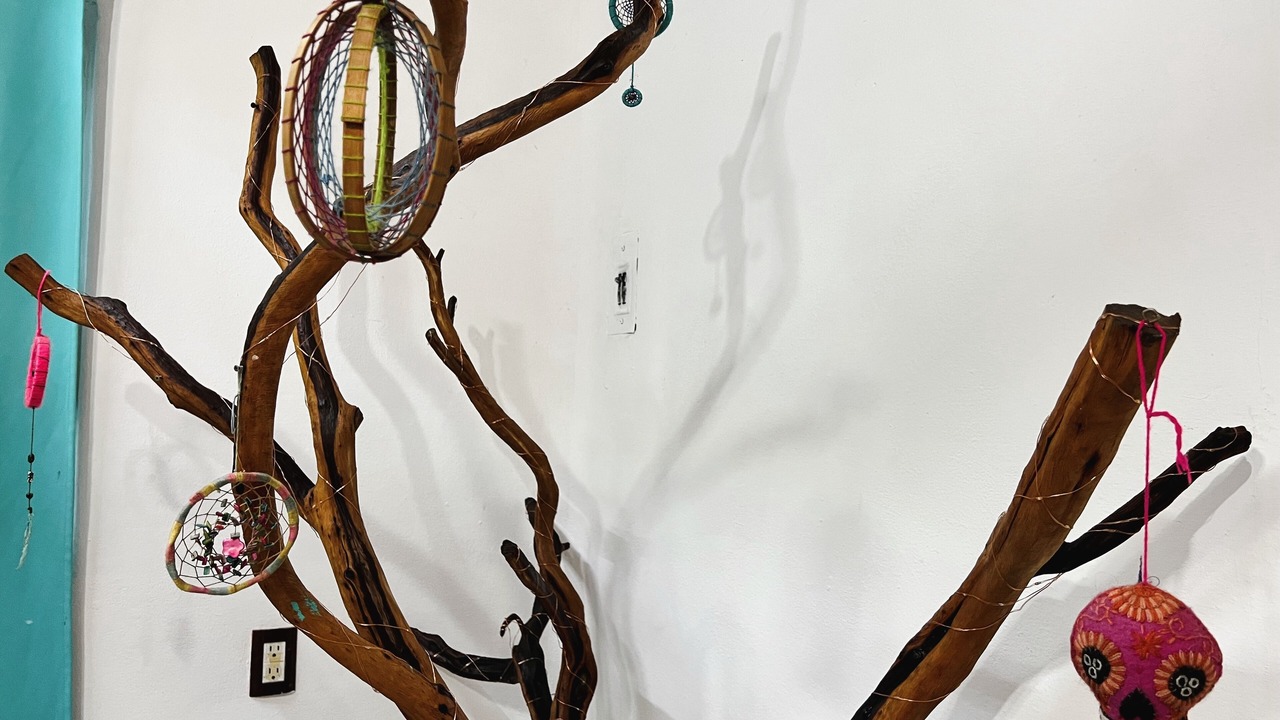 Photo of Others in Sayulita