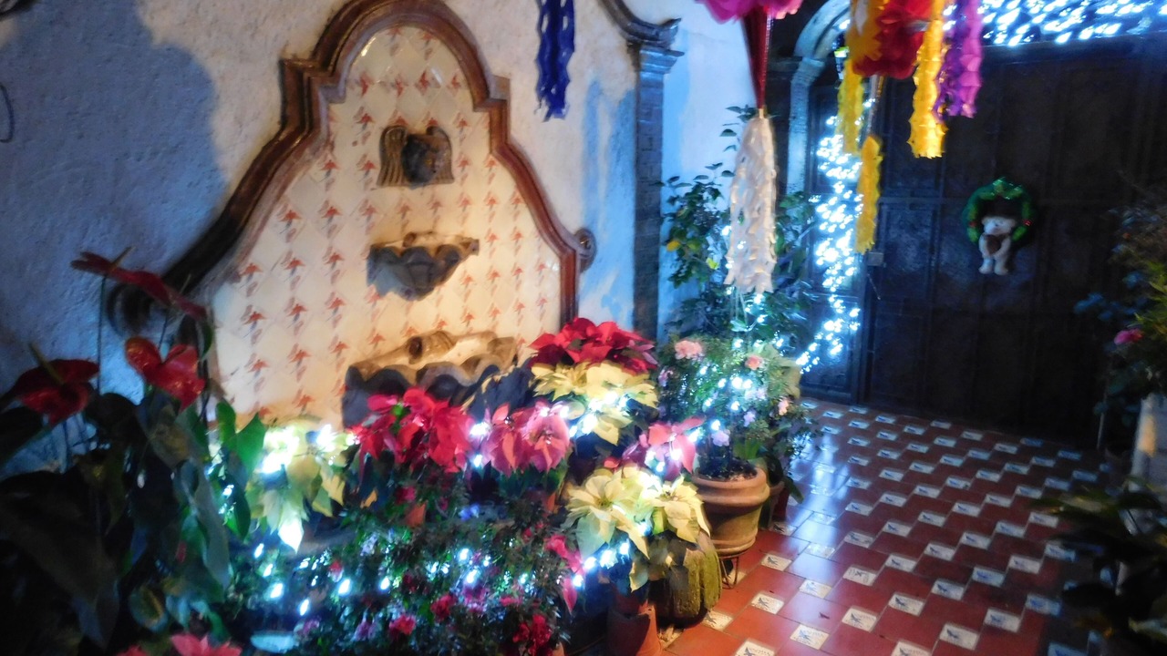 Photo of Others in Tlaltenango