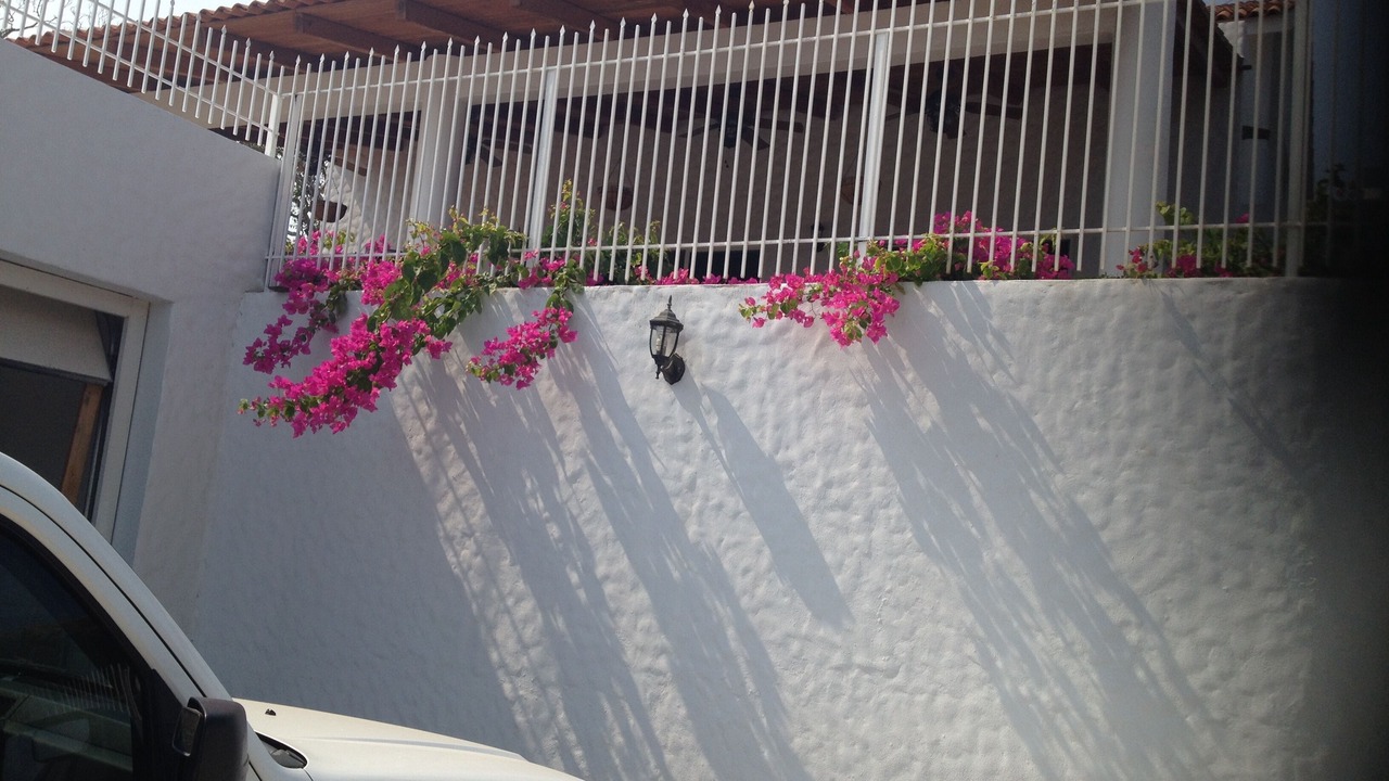 Photo of Outdoor in Petacalco