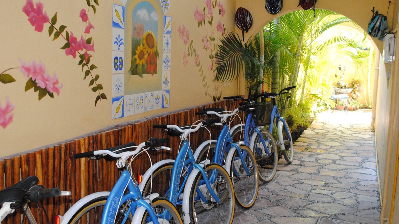 Photo of Outdoor in Puerto Morelos