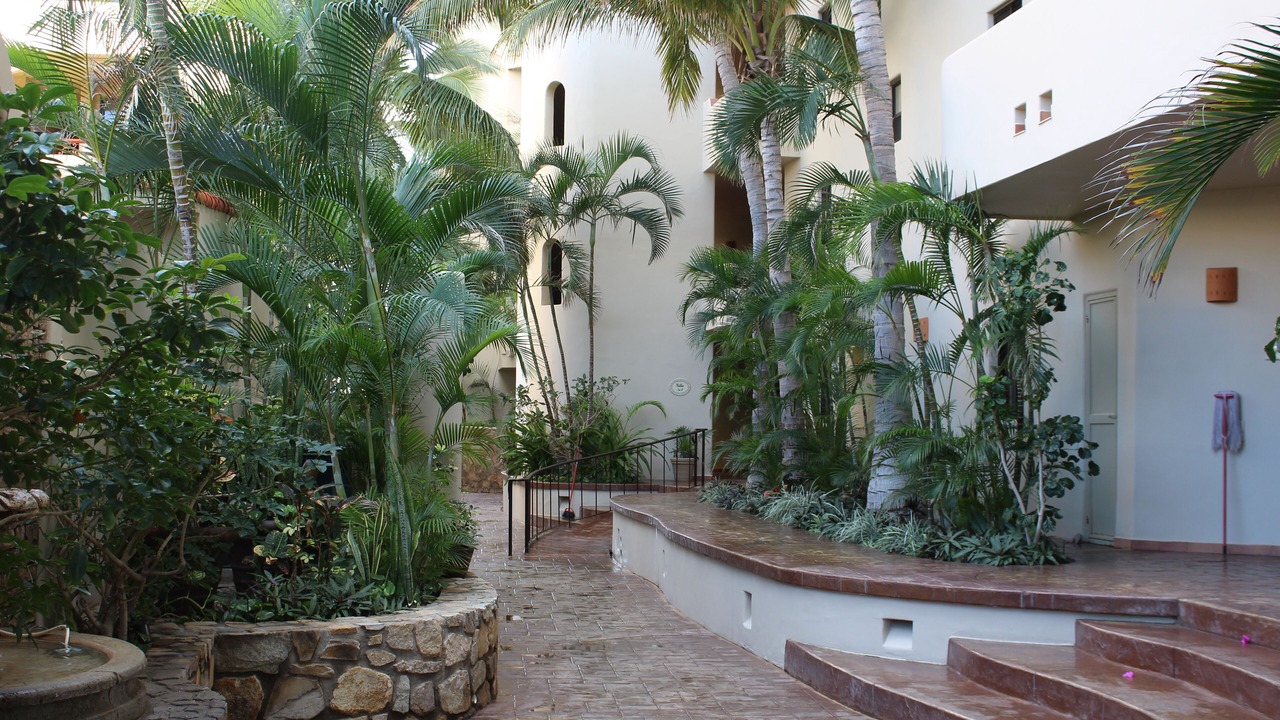 Photo of Others in San Jose del Cabo