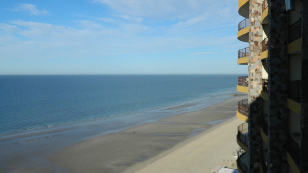 Photo of Others in Puerto Penasco