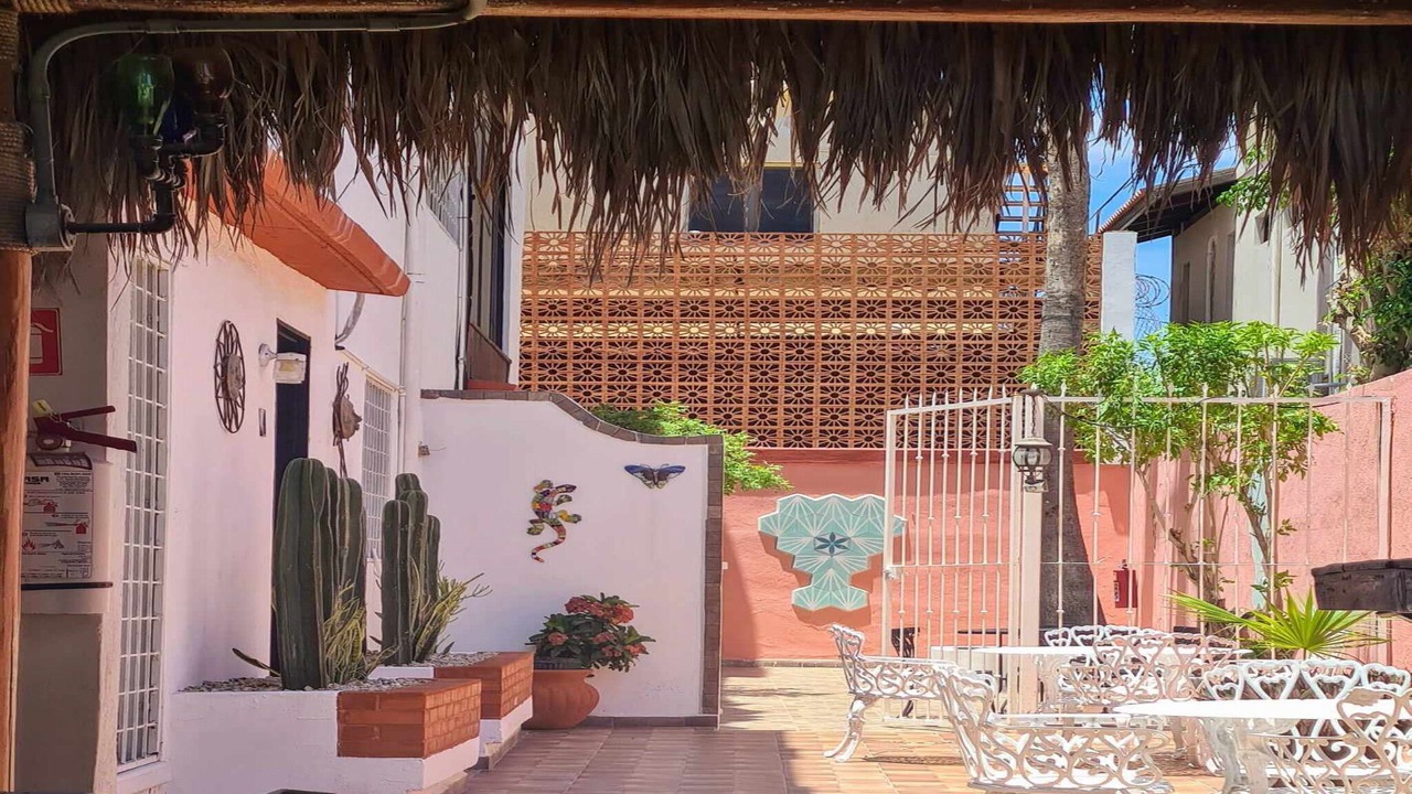 Photo of Outdoor in El Manglito