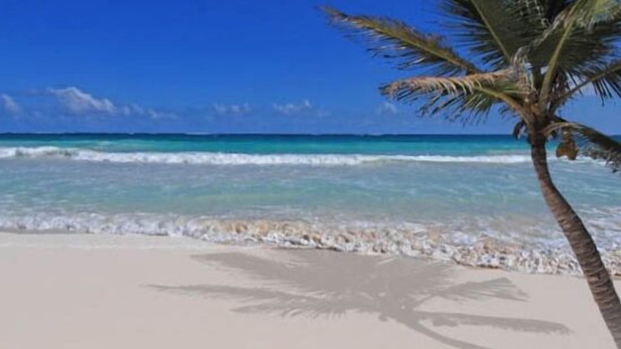 Photo of Others in Costa Maya