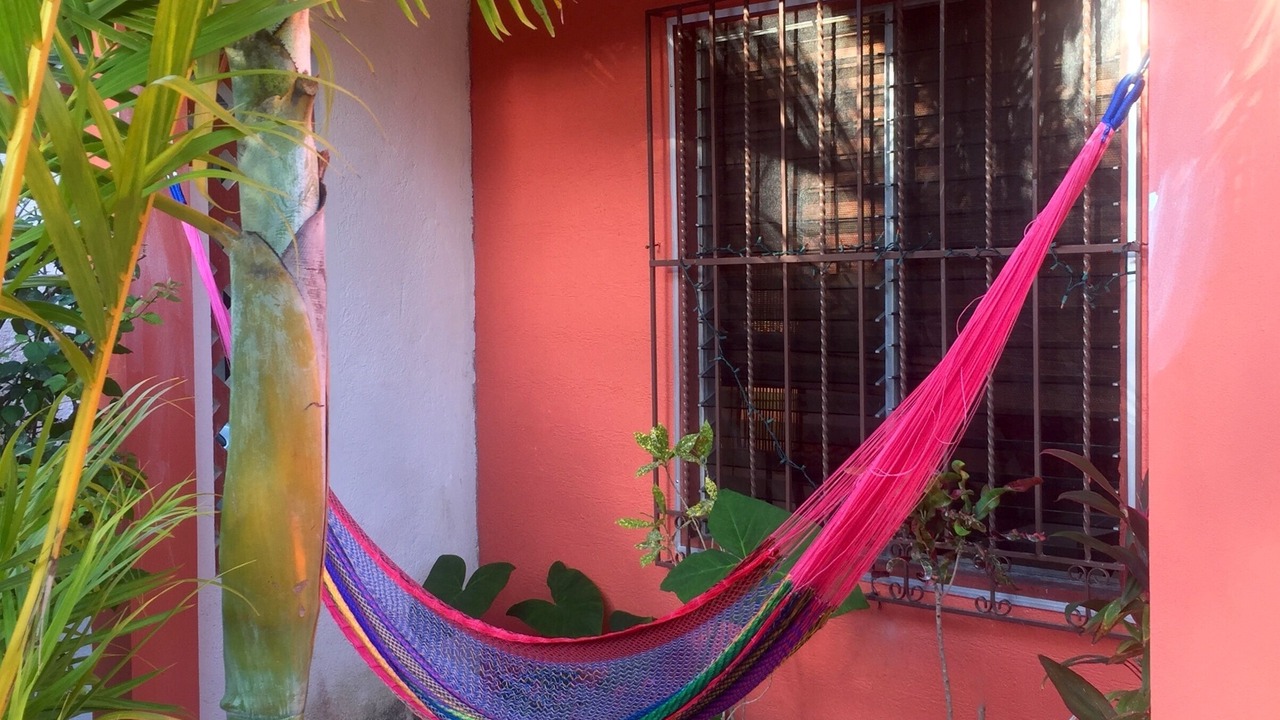 Photo of Others in Chemuyil