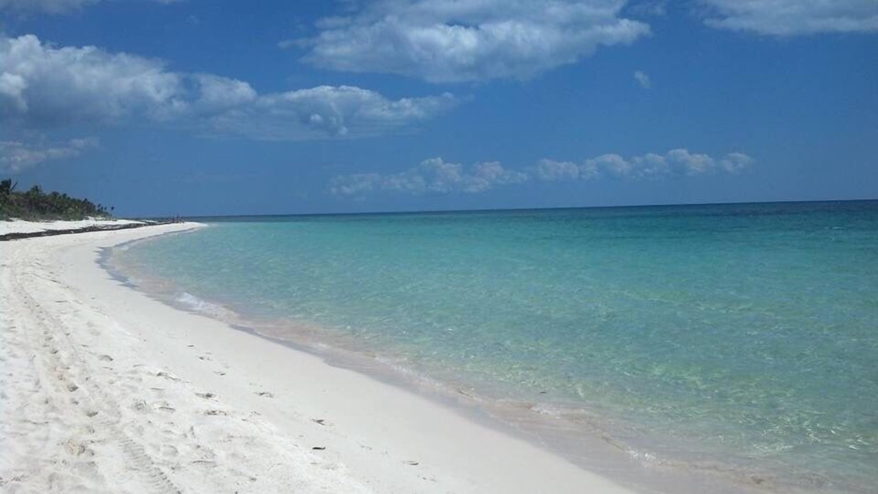 Photo of Others in Chemuyil