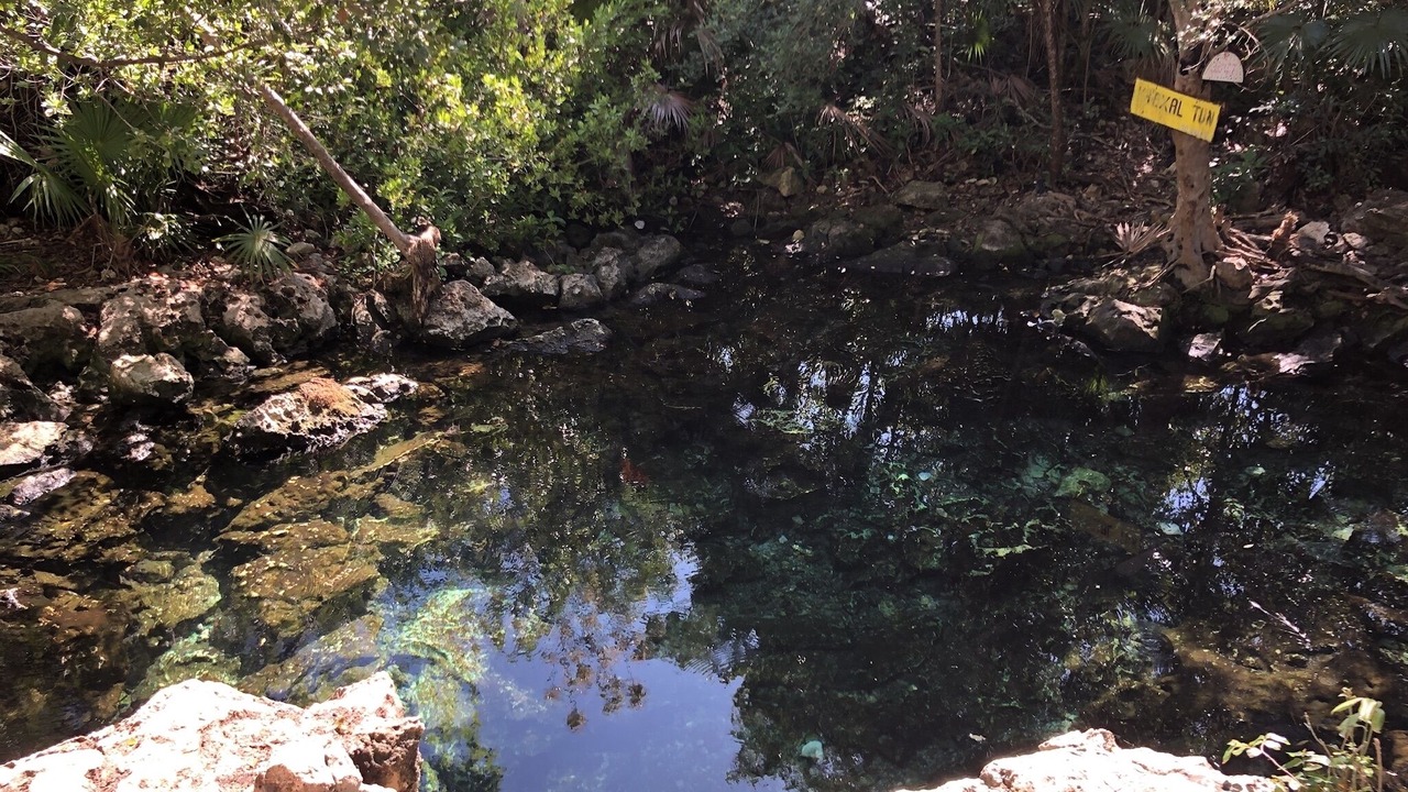 Photo of Others in Chemuyil