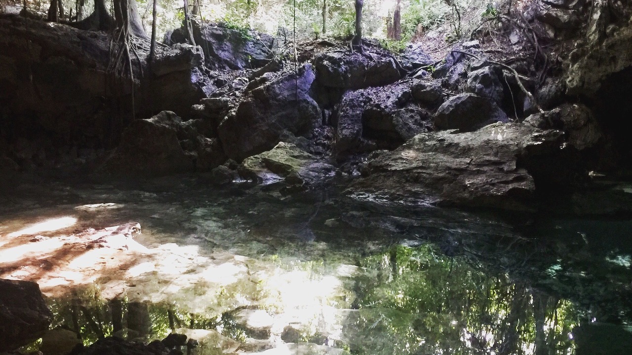 Photo of Others in Chemuyil