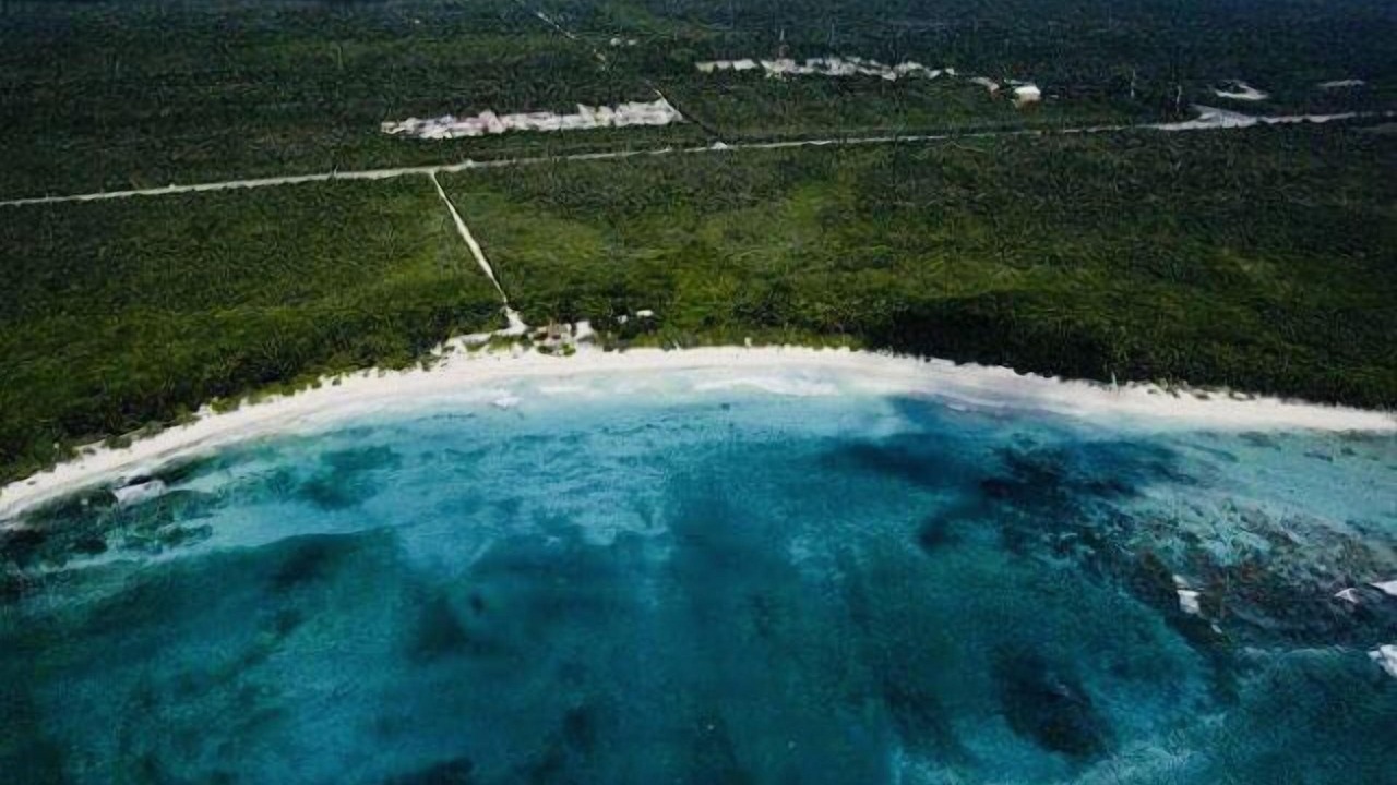 Photo of Others in Chemuyil