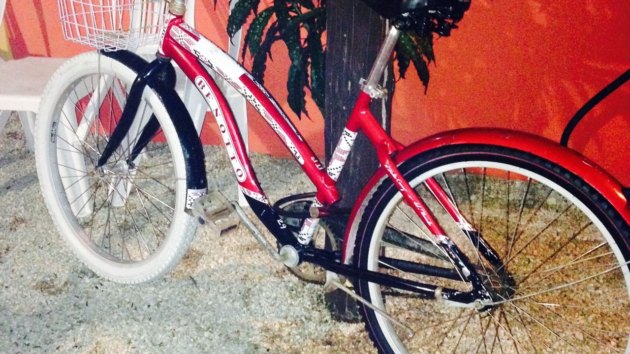 Photo of Others in Chemuyil