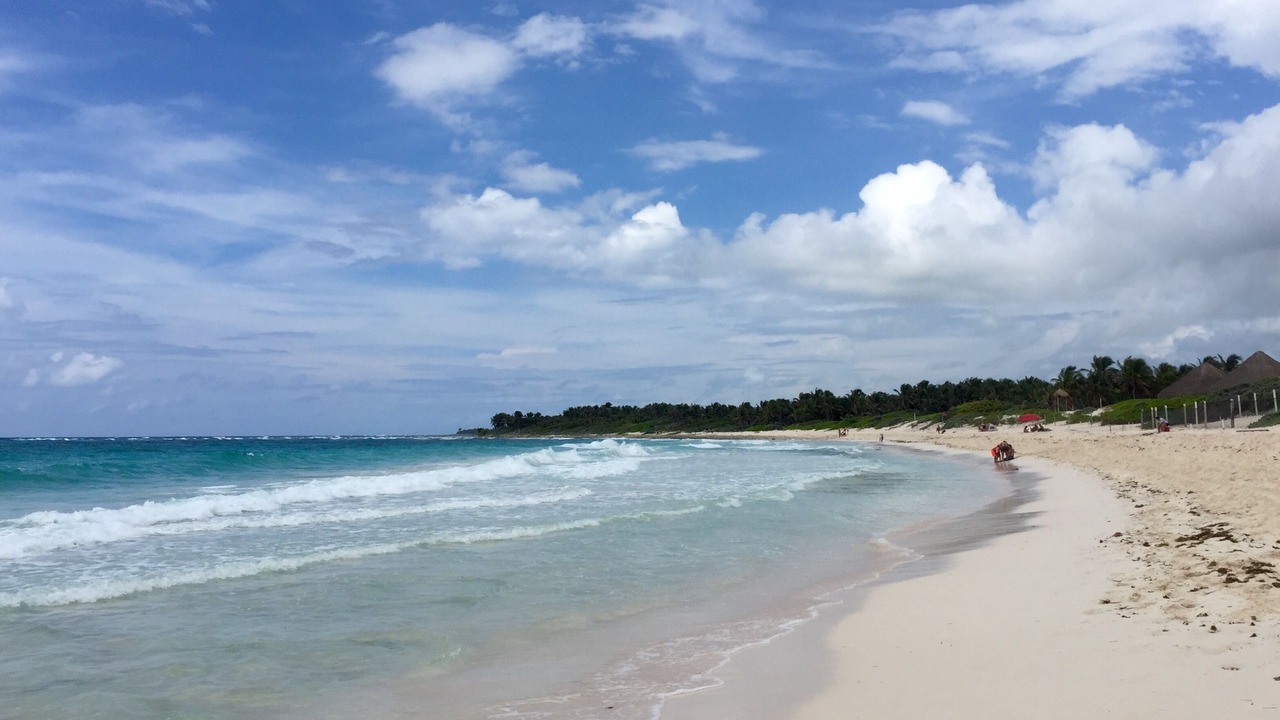 Photo of Others in Chemuyil