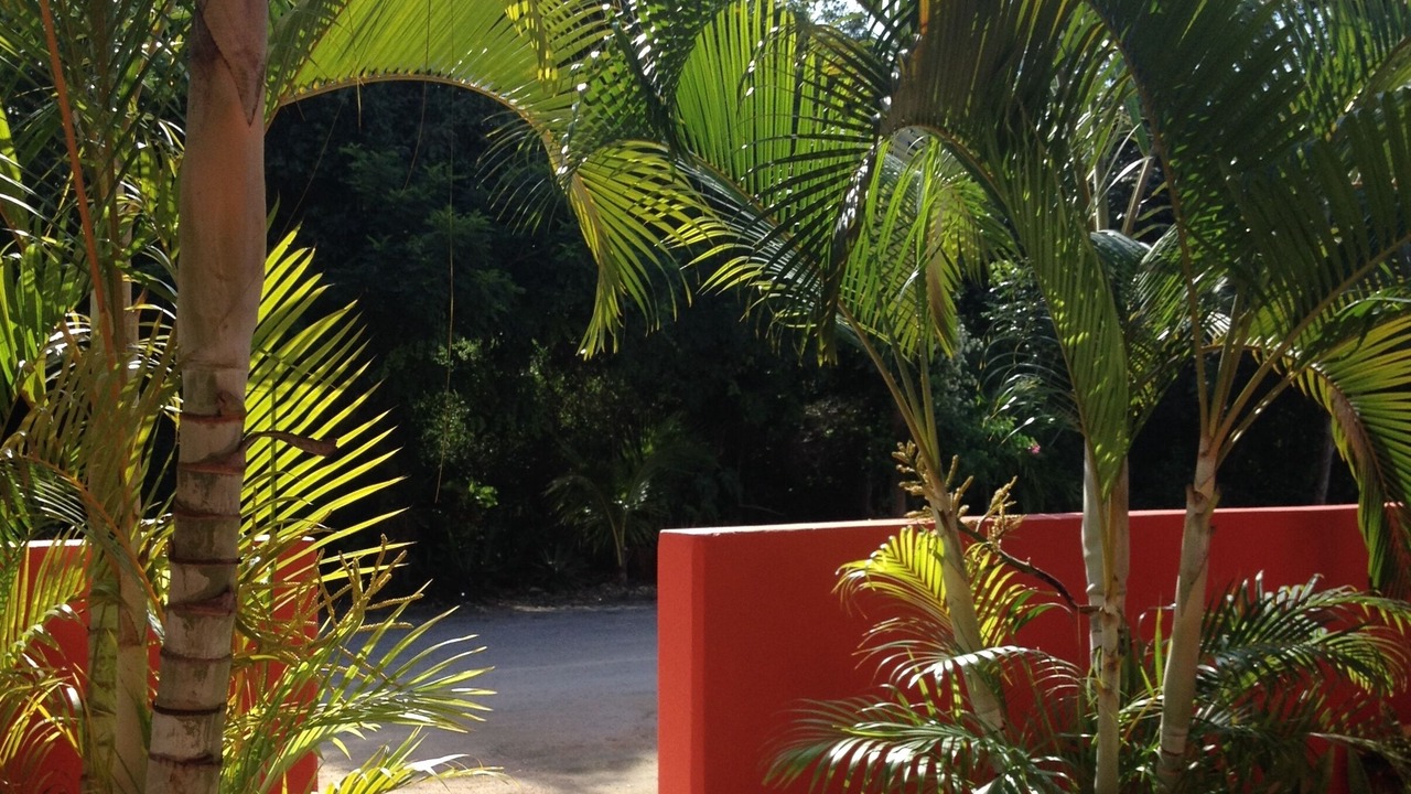 Photo of Others in Chemuyil