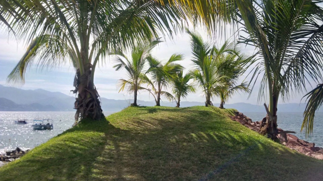 Photo of Others in Marina Vallarta