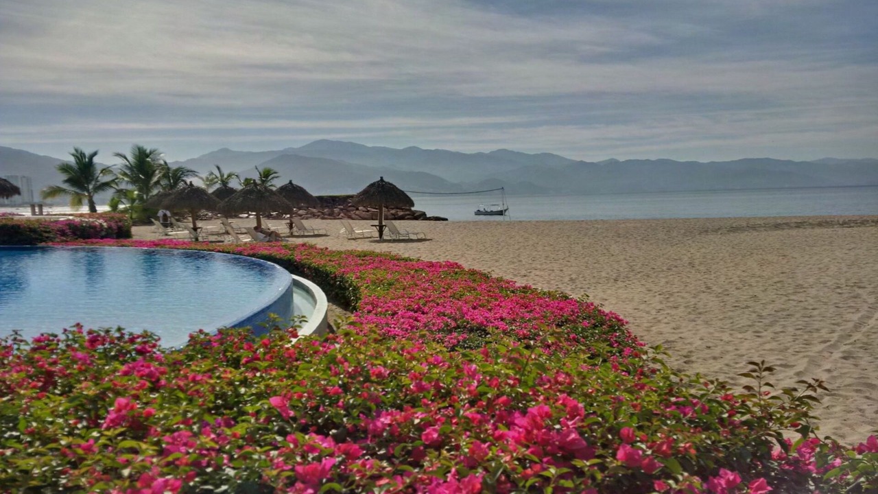 Photo of Others in Marina Vallarta