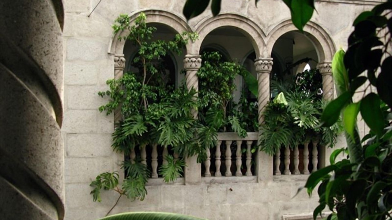 Photo of Patio Balcony in Historic Center