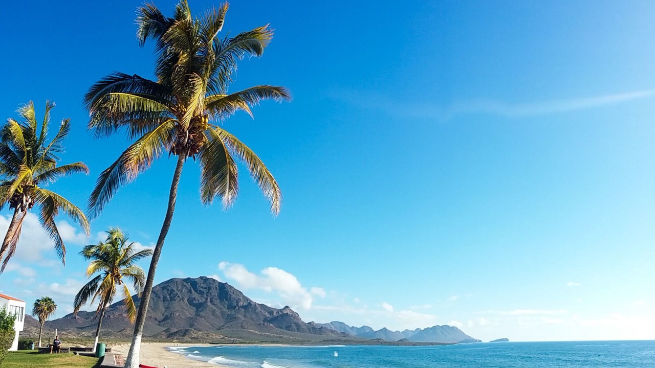 Photo of Others in San Carlos