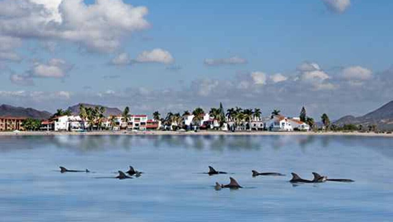 Photo of Others in San Carlos