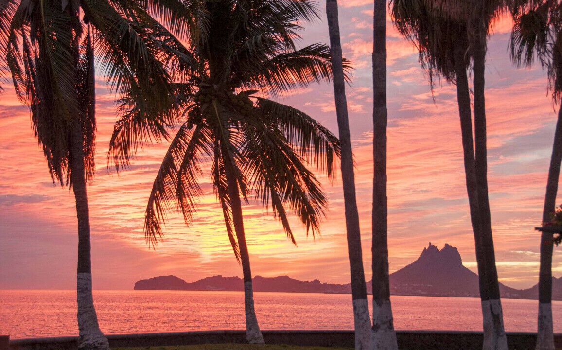 Photo of Others in San Carlos