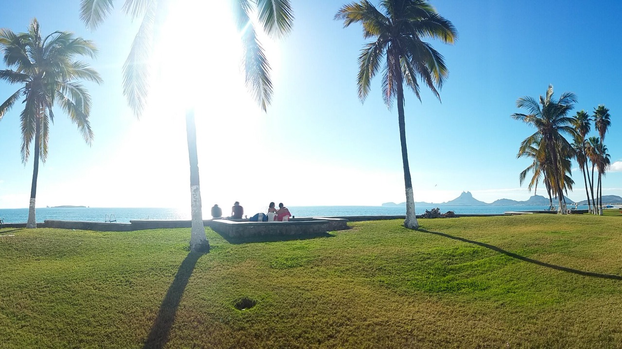 Photo of Outdoor in San Carlos