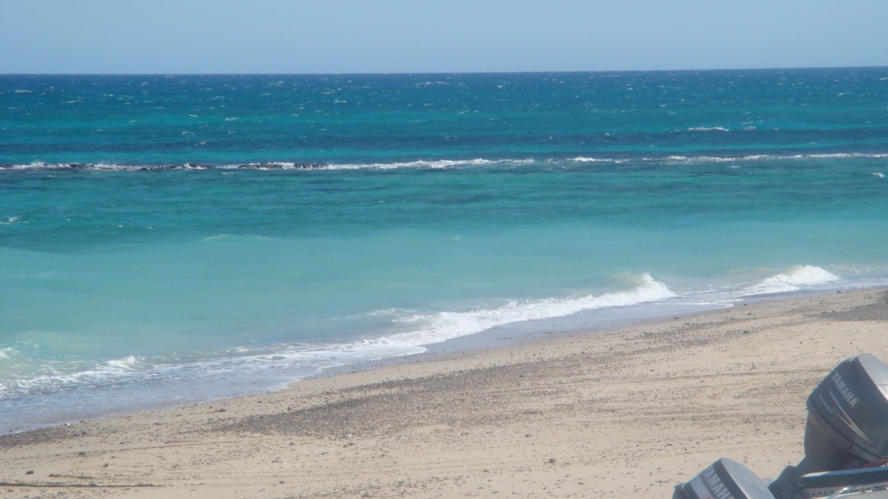 Photo of Others in Cabo Pulmo