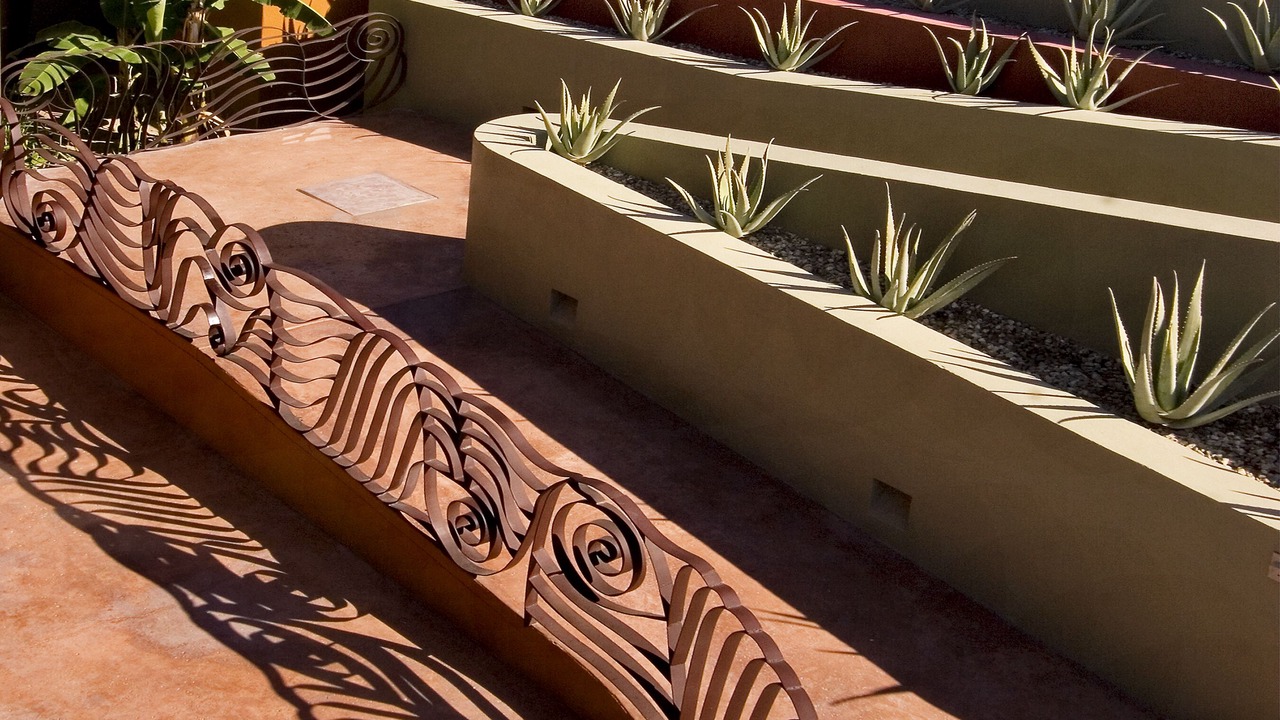 Photo of Outdoor in Cabo Pulmo