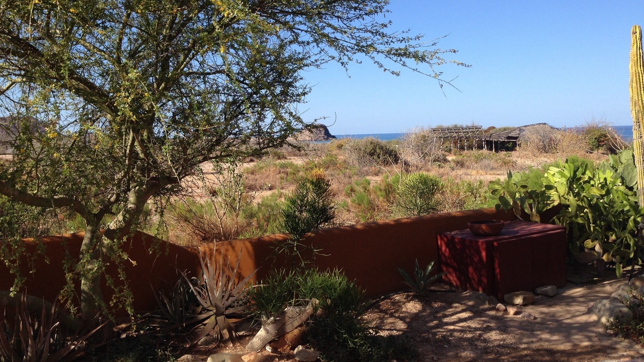 Photo of Outdoor in Cabo Pulmo