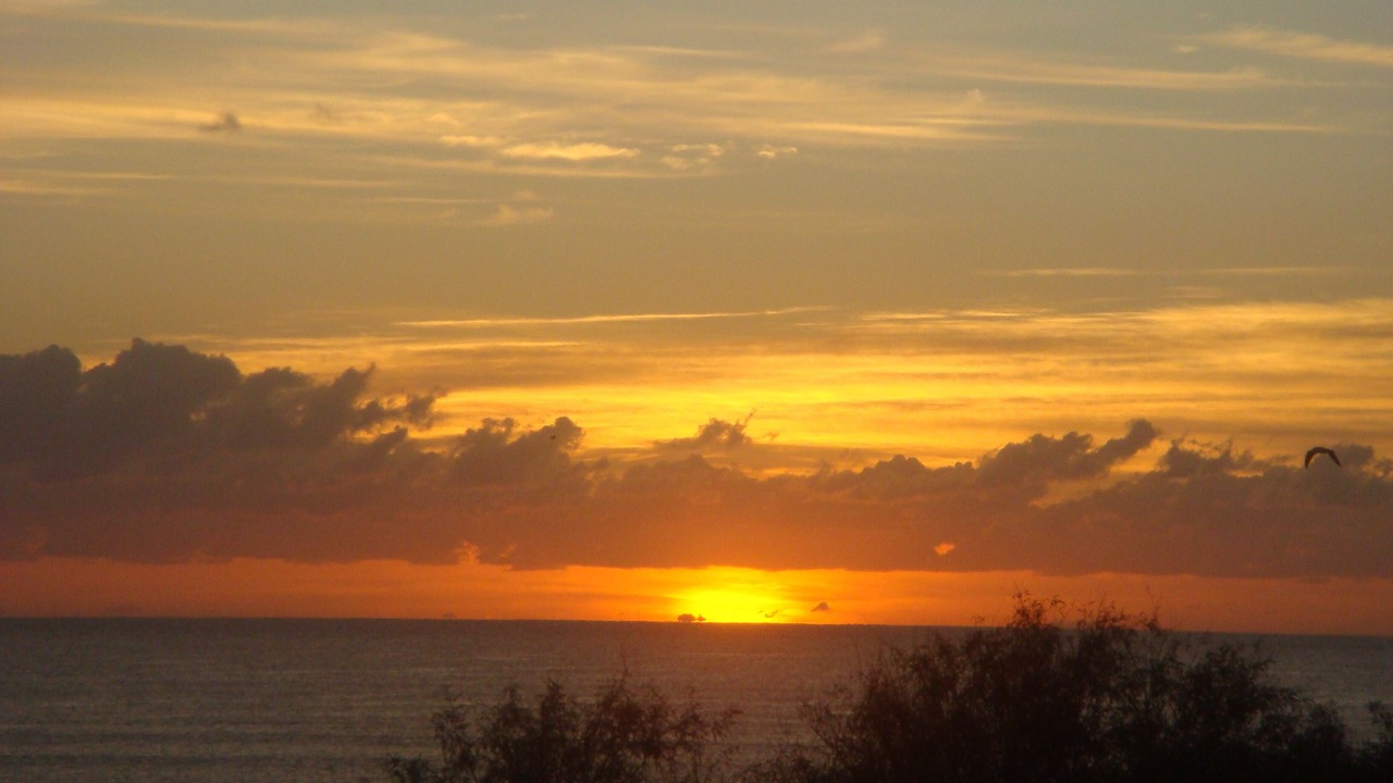 Photo of Others in Cabo Pulmo