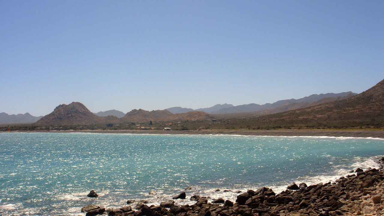 Photo of Others in Cabo Pulmo