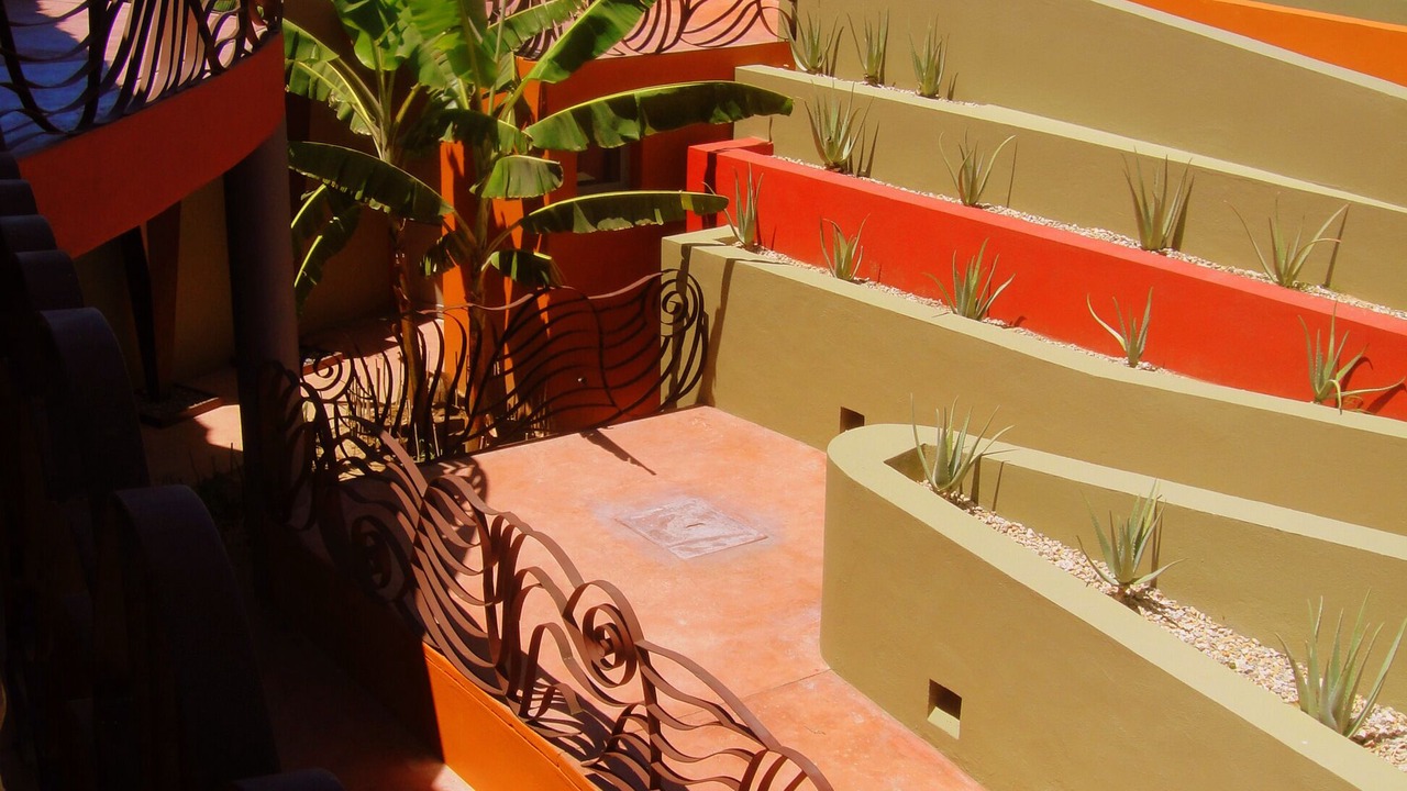 Photo of Outdoor in Cabo Pulmo