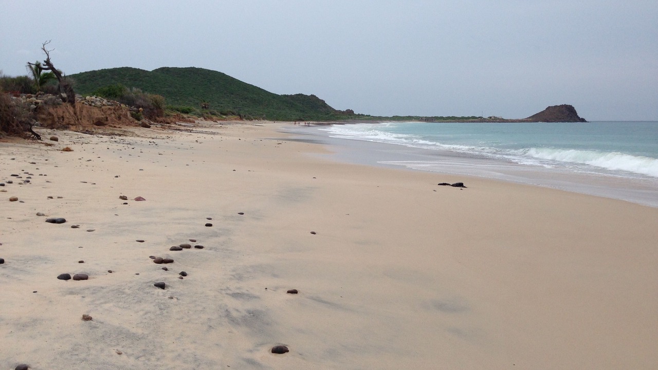 Photo of Others in Cabo Pulmo