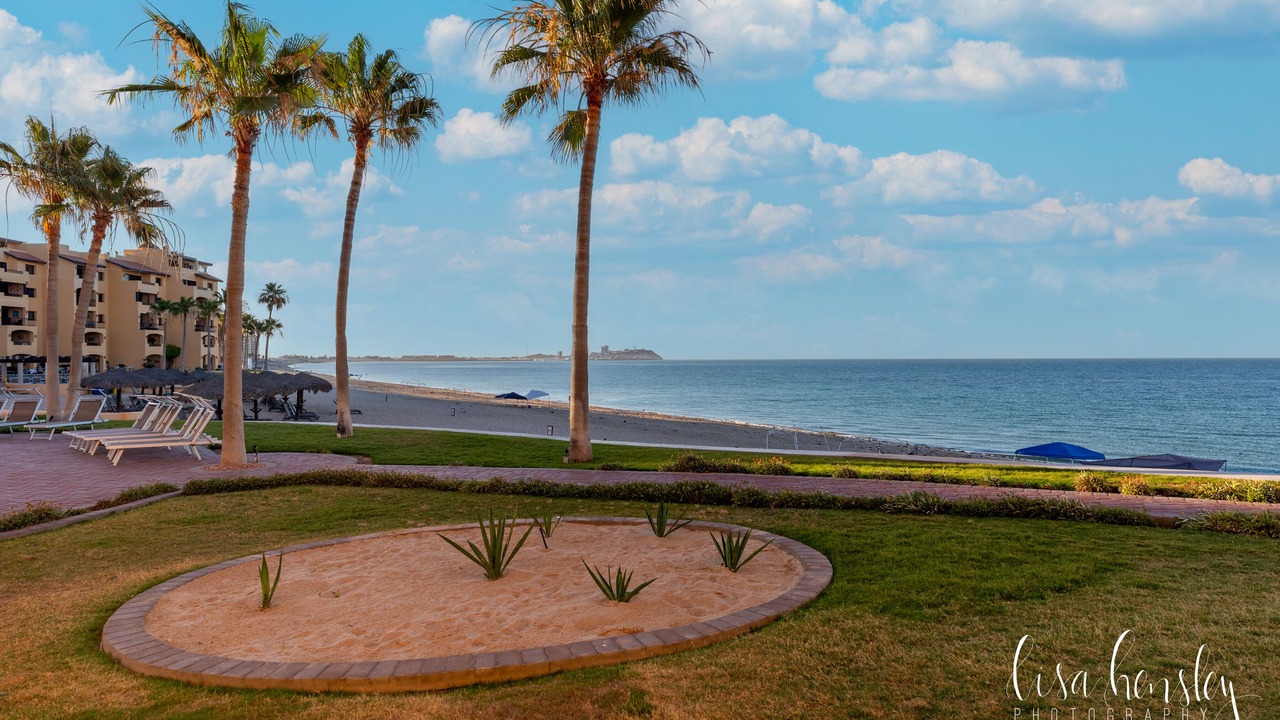 Photo of Others in Puerto Penasco