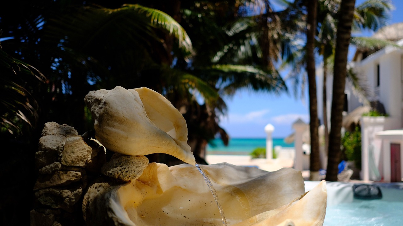 Photo of Others in Playa del Secreto