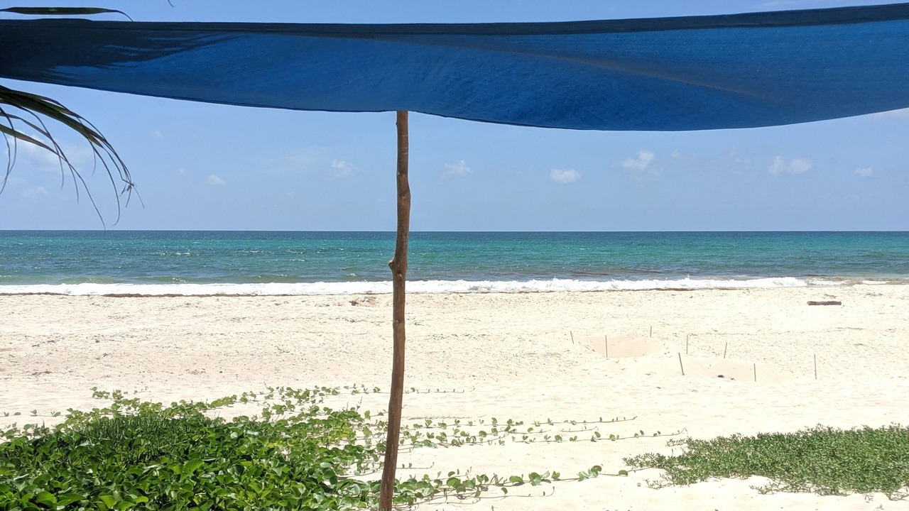 Photo of Others in Playa del Secreto