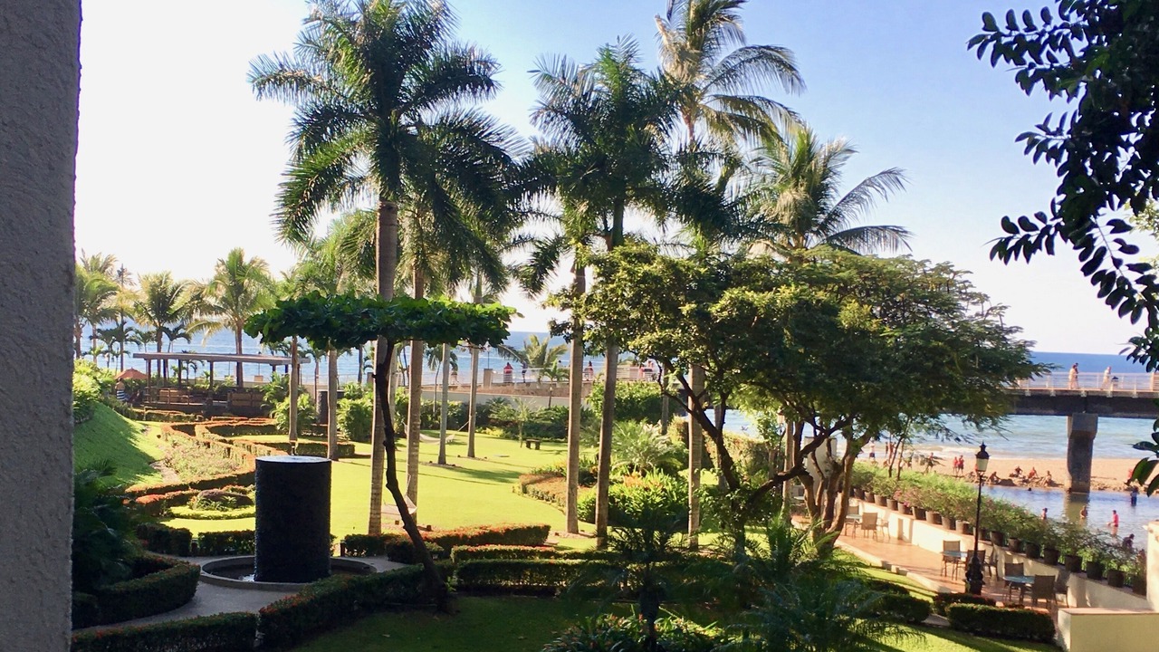 Photo of Others in Emiliano Zapata