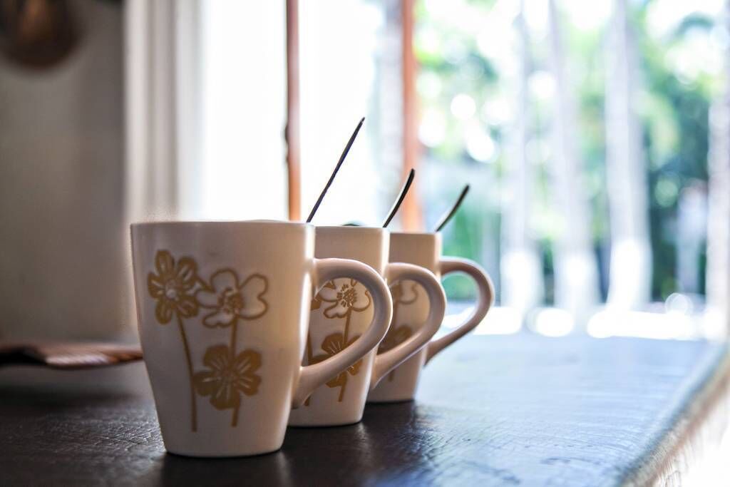 Photo of Others in North End