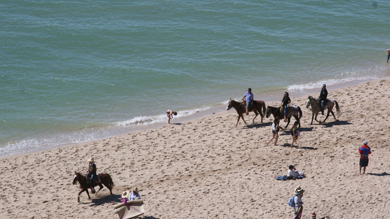 Photo of Others in Puerto Penasco