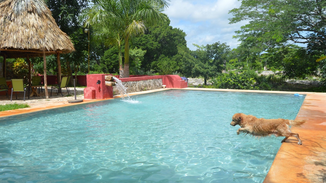Photo of Outdoor in Yucatan Peninsula
