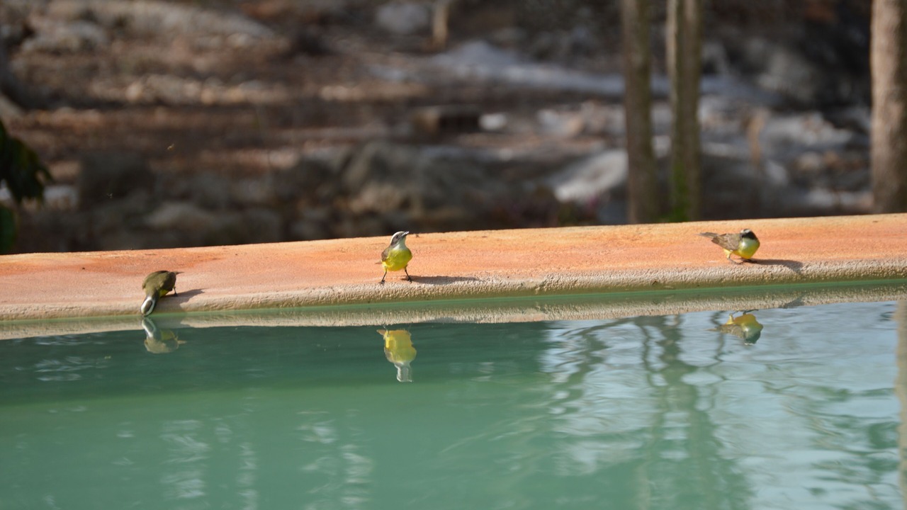 Photo of Others in Yucatan Peninsula