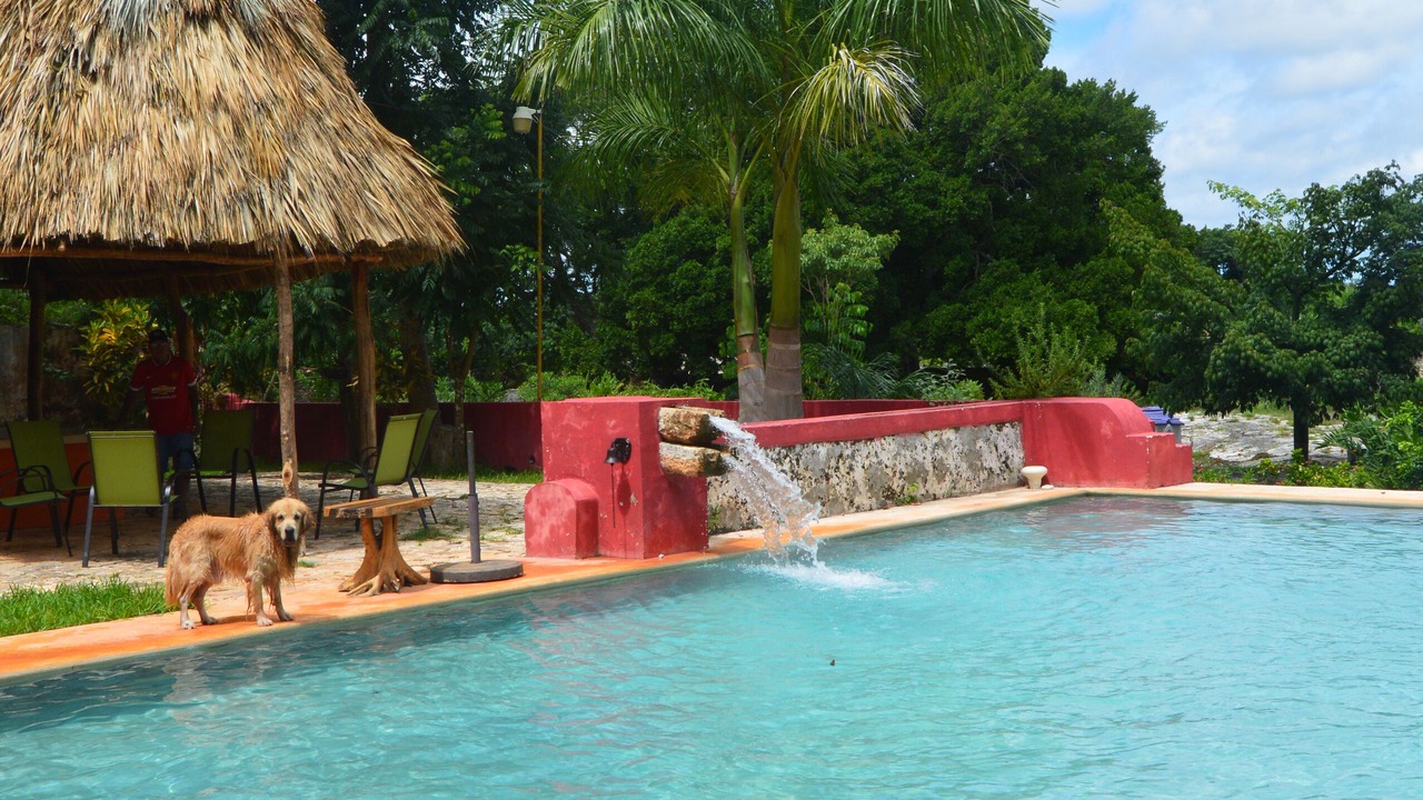 Photo of Outdoor in Yucatan Peninsula