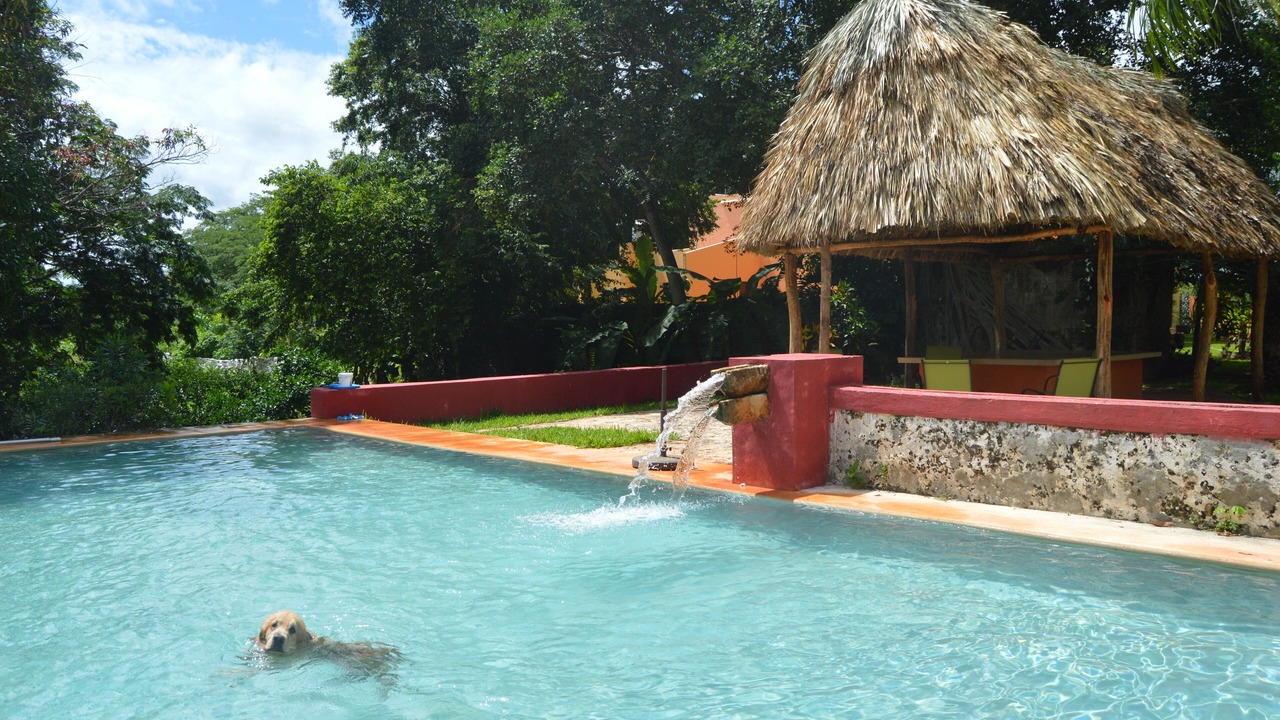 Photo of Outdoor in Yucatan Peninsula