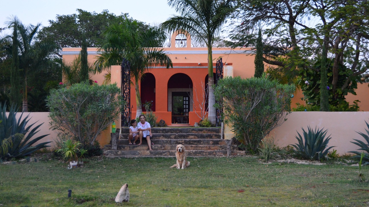 Photo of Others in Yucatan Peninsula